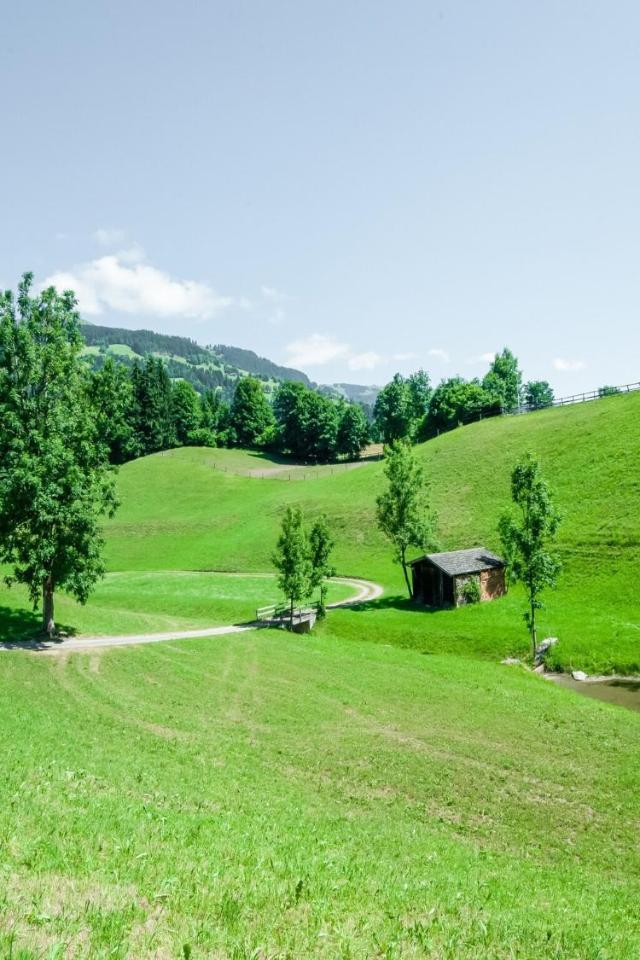 Apartment Near Gondola in Tyrol – billede 6