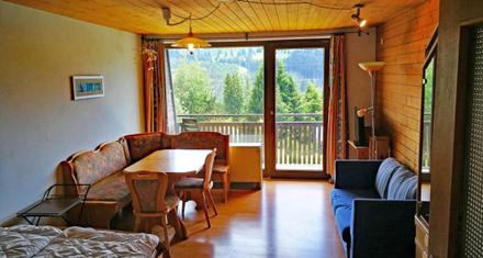 Apartment Haus Steigerbauer Top 29 – bild 2
