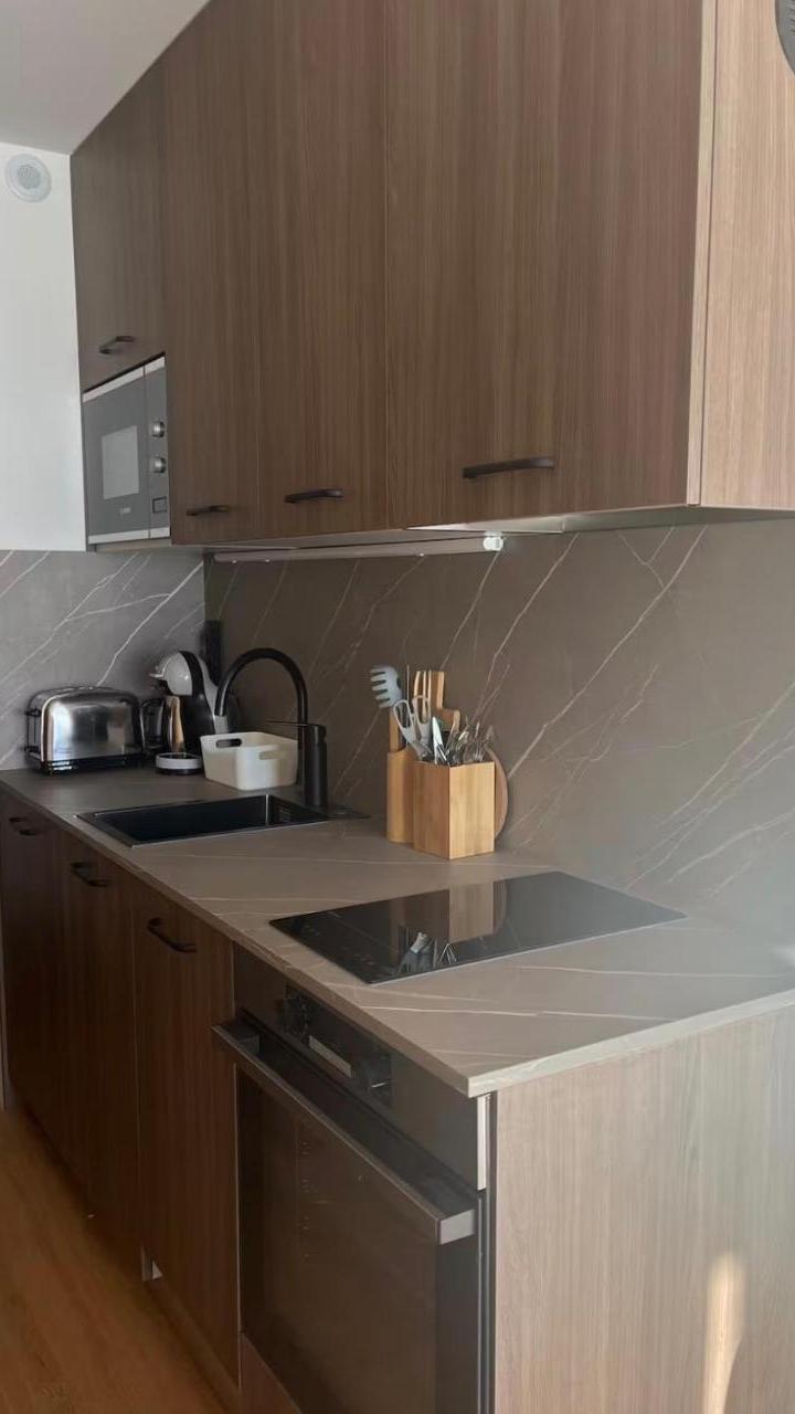 Studio with Mountain View (1 single bed and 2 sofa beds) - Free WiFi – Les Appartements de Phicocam