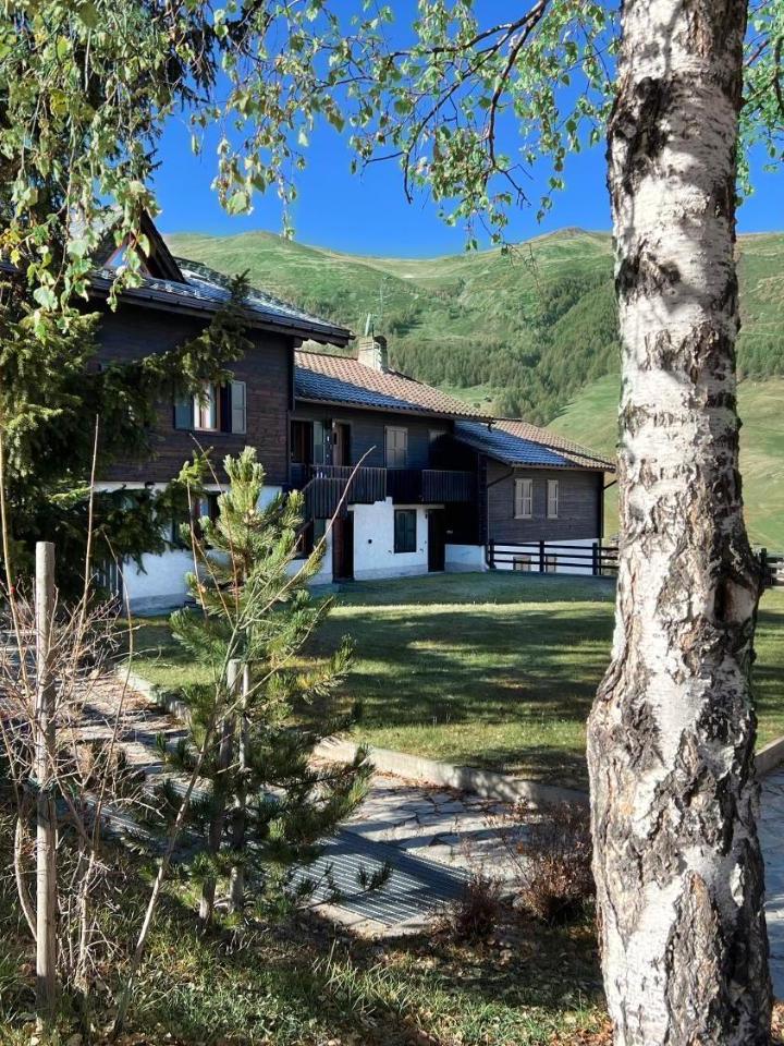 One-Bedroom Apartment (2 single beds) - Free WiFi – Chalet Rododendro