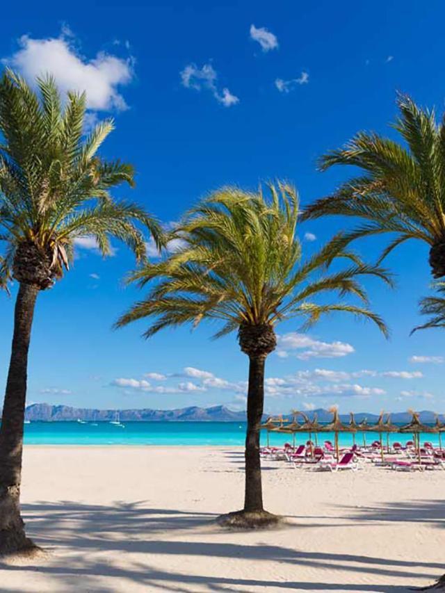 Apartamento Arcoiris, Con Piscina Y Junto a Playa de Alcudia – billede 4