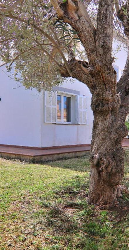 110 Villa Balandre Etv4718 by Mallorca Charme – billede 4
