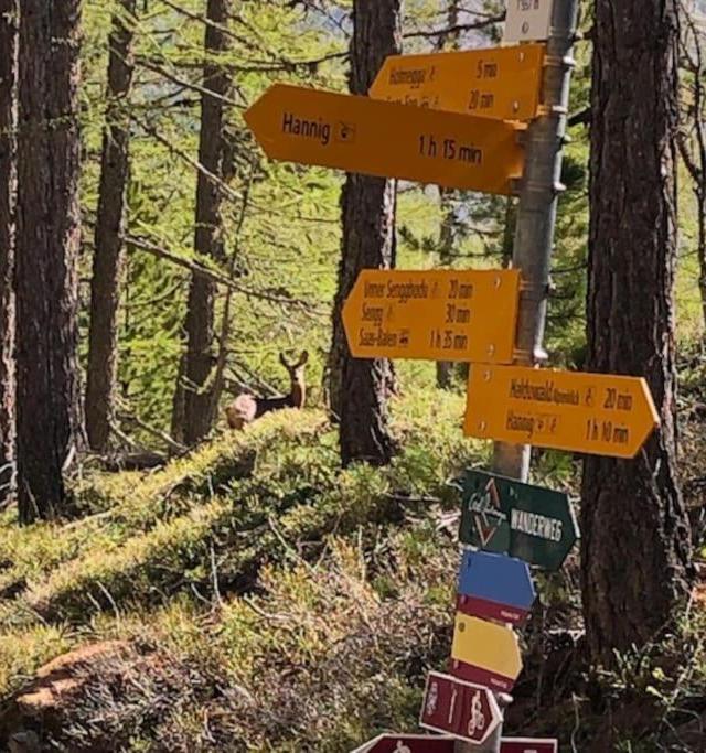 Mirador Auf Der Sonnenterrasse Von Saas-Fee – billede 4
