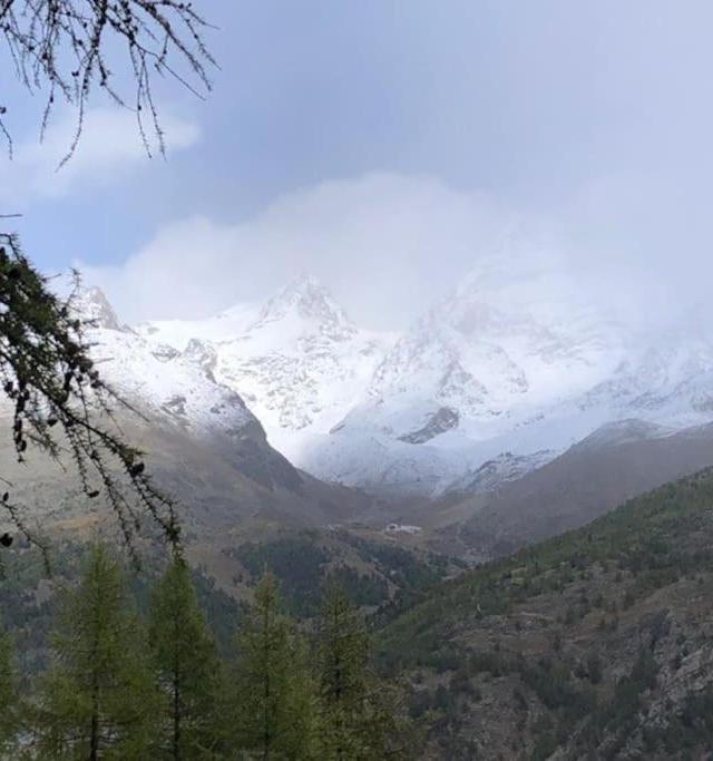 Mirador Auf Der Sonnenterrasse Von Saas-Fee – billede 7