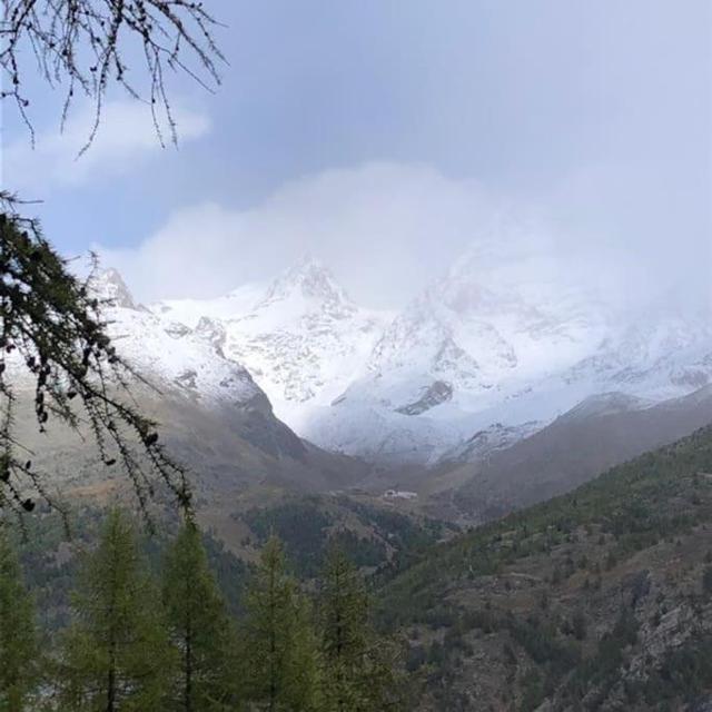 Mirador Auf Der Sonnenterrasse Von Saas-Fee – billede 7