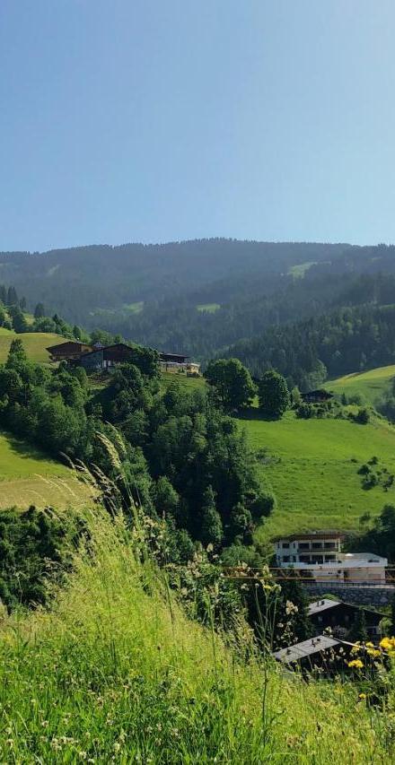 Genieten in Saalbach, Alpenresort Saalbach Top D1 by Droomvilla – billede 4