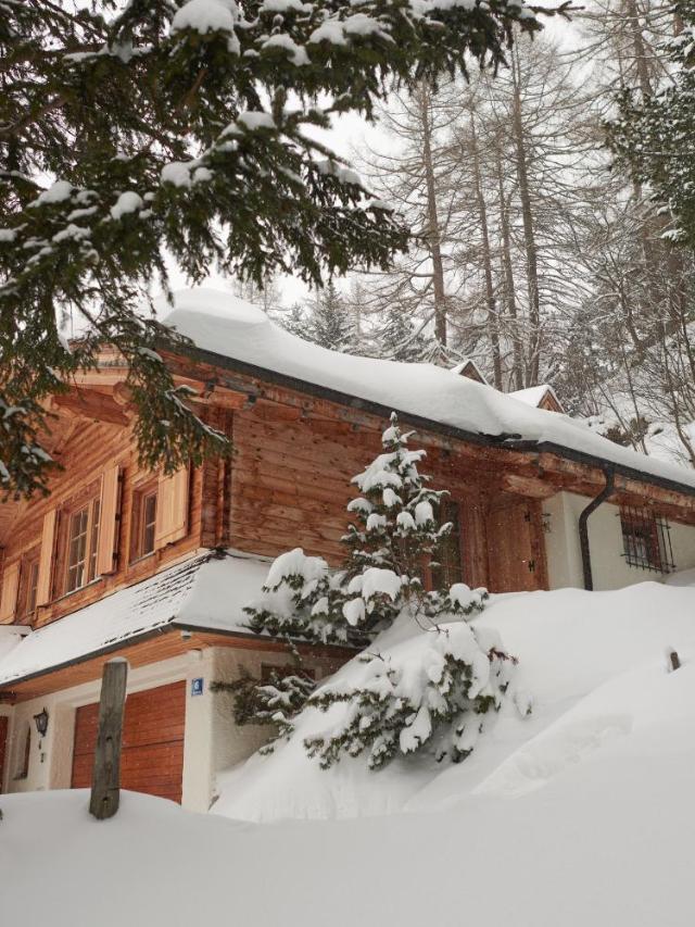 Bergfuhrer Blockhaus Appartements – bild 3
