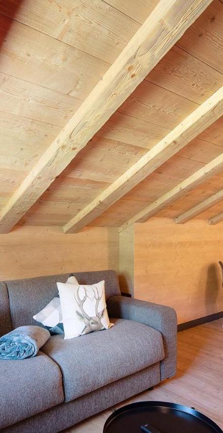 Rain Villa Genf SPA - Relax – billede 3