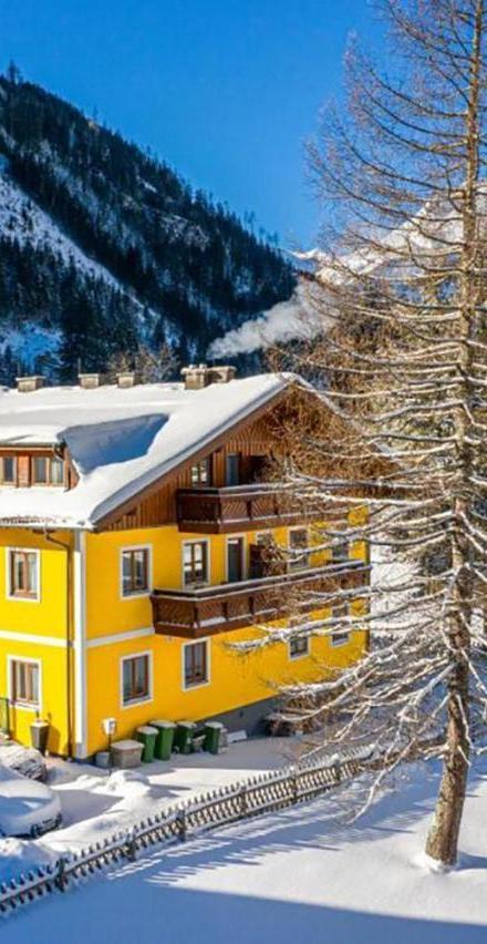 Alpinspa Zur Post Apartment - Bergbahn Im Sommer 2026 Inklusive – billede 1