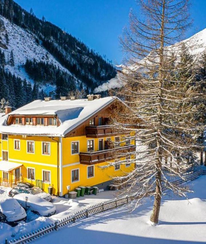 Studio Apartment (Bedroom#1: 1 double bed) - Free WiFi – Alpinspa Zur Post Apartment - Bergbahn Im Sommer 2026 Inklusive
