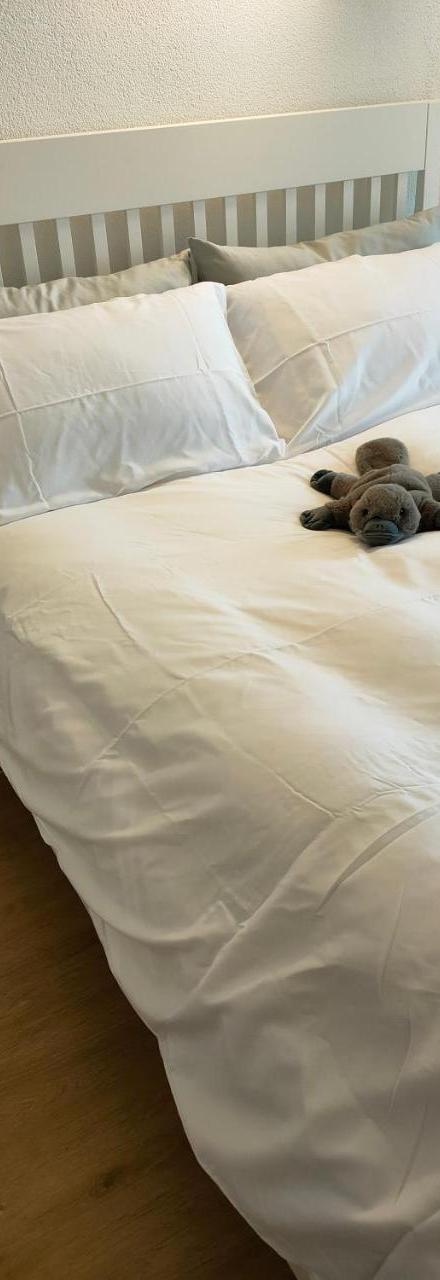 Studio Au Pied de la Telecabine, Saastalcards Saas-Fee – billede 2