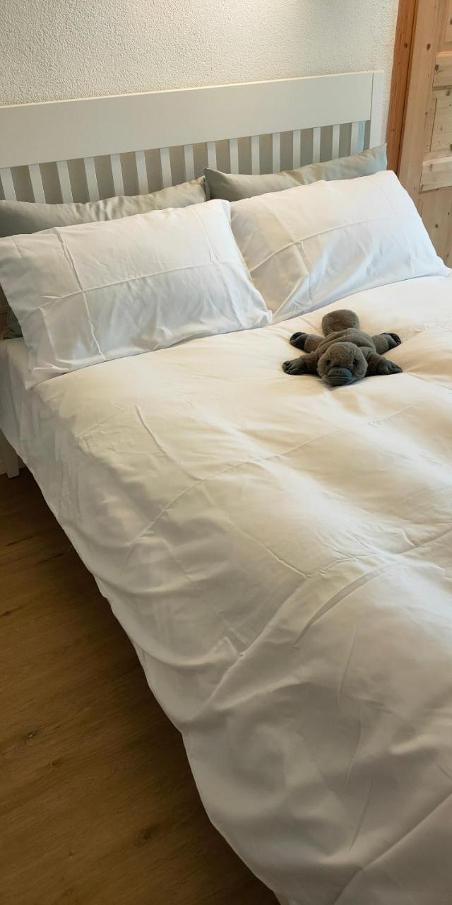 Studio Au Pied de la Telecabine, Saastalcards Saas-Fee – billede 2