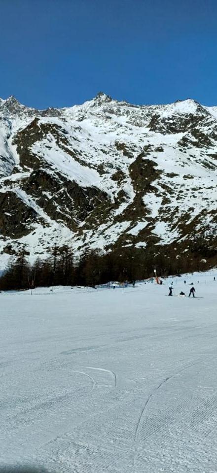 Studio Au Pied de la Telecabine, Saastalcards Saas-Fee – billede 3