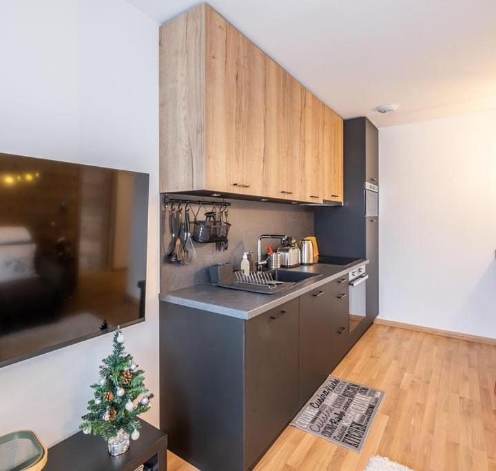One-Bedroom Apartment with Balcony (1 bunk bed and 1 large bed) - Free WiFi – Alpe D'huez Houses - Chez J Et J - Quartz - 1 Chambre Ski Au Pied Via Alpe Express