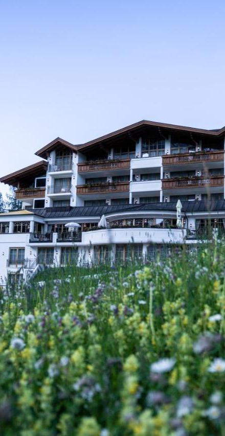 Bellevue – billede 2