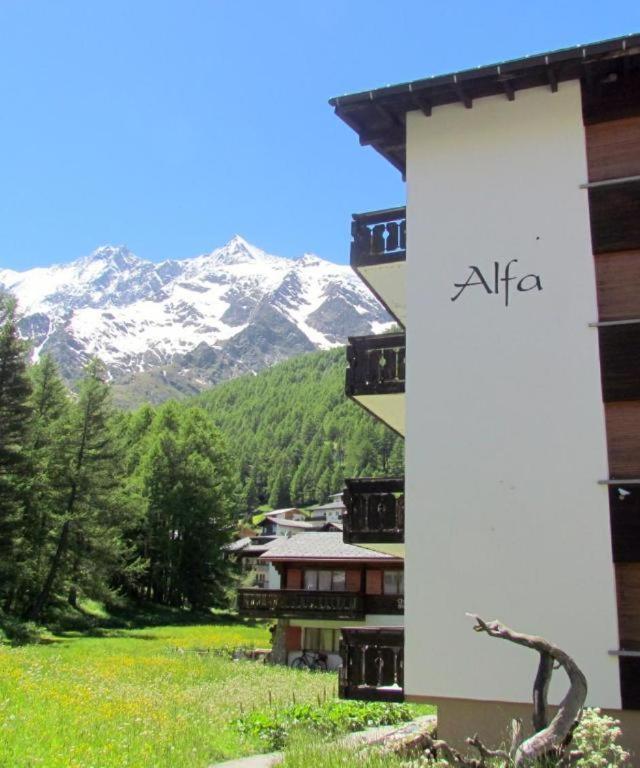 Haus Alfa Studios