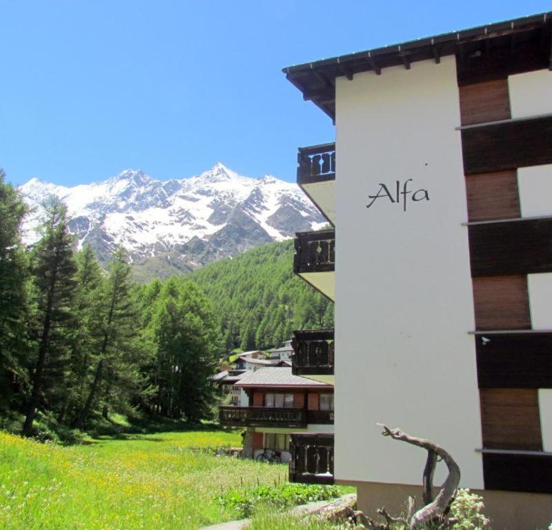 Haus Alfa Studios