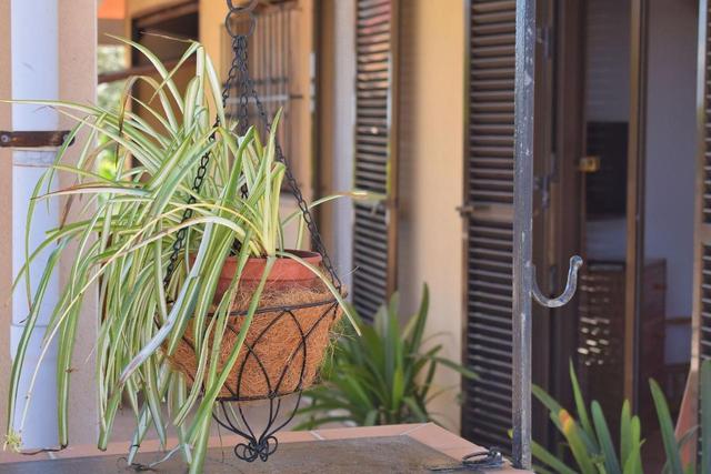 145 Casa Ca Na Coloma Etv5130 by Mallorca Charme – billede 7