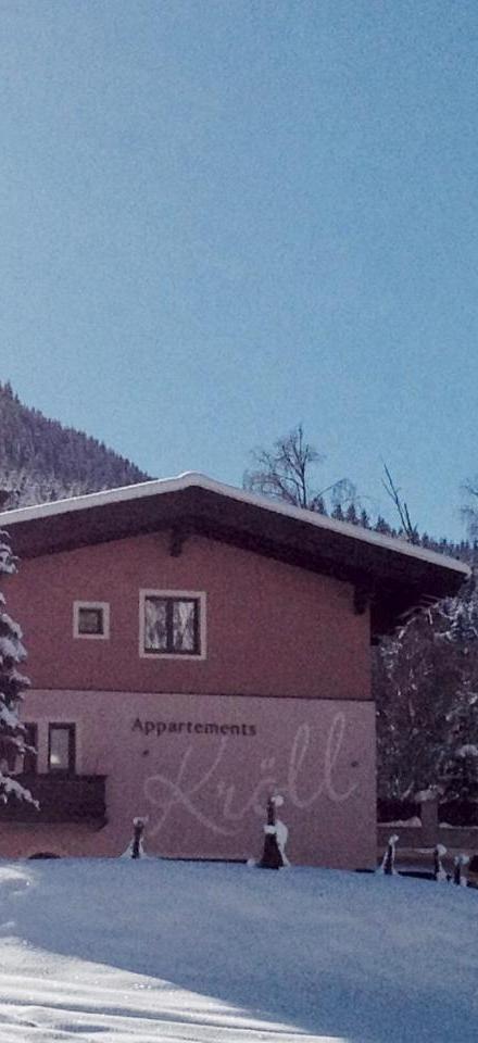Appartements Kroll, Joker Card in Summer Included! – billede 2