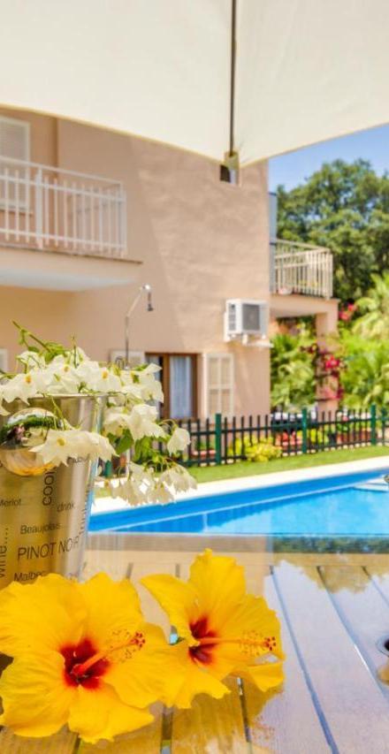 Ideal Property Mallorca - Amapola – billede 4