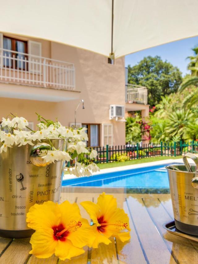 Ideal Property Mallorca - Amapola – billede 4
