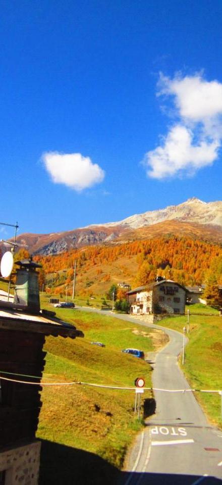Canton 520 Appartamenti Self Check in – billede 2