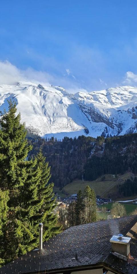 Luxury Escape - Titlis Panorama – Engelberg