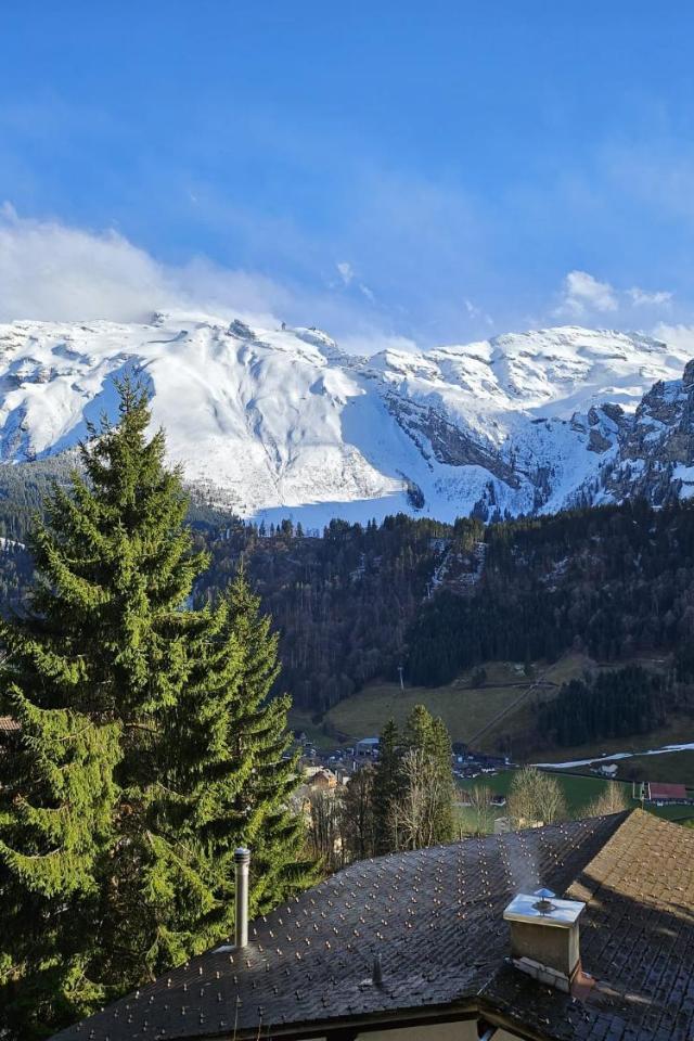 Luxury Escape - Titlis Panorama