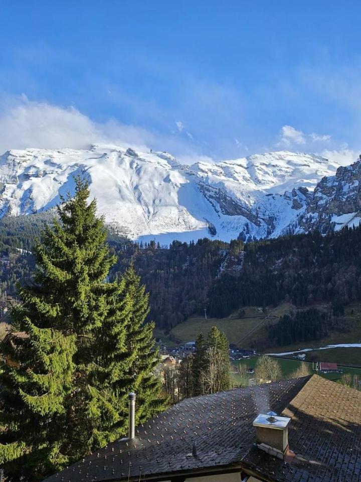 Two-Bedroom Apartment with Mountain View - Free WiFi – Luxury Escape - Titlis Panorama