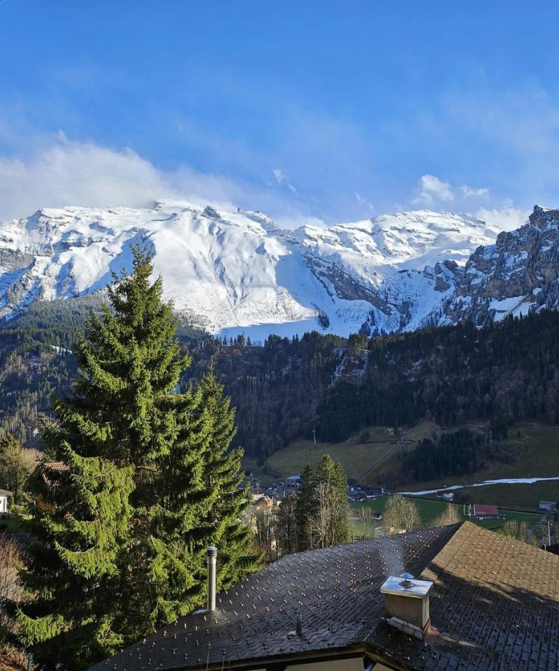 Luxury Escape - Titlis Panorama