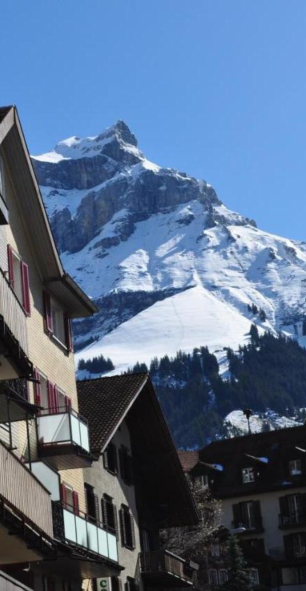 Hotel Engelberg "Mein Trail Hotel" – billede 1