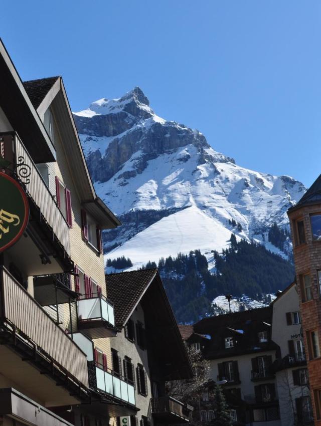 Hotel Engelberg "Mein Trail Hotel"