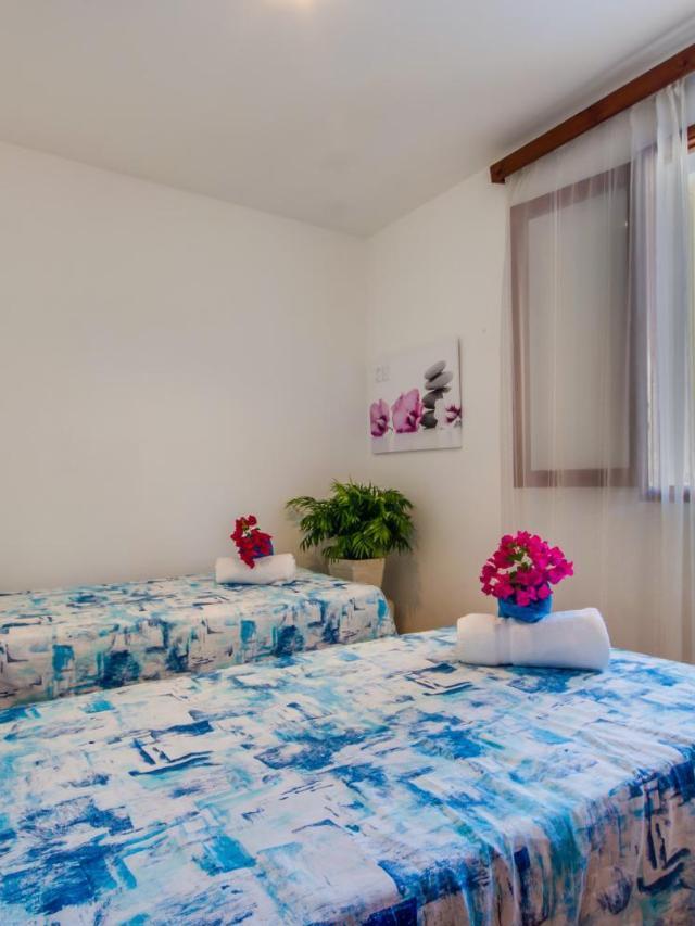 Ideal Property Mallorca - Villa Rosita 12