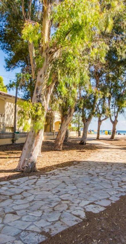 Ideal Property Mallorca - Villa Rosita 12 – billede 5