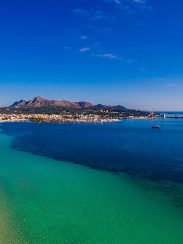 Ideal Property Mallorca - Villa Rosita 12 – billede 6