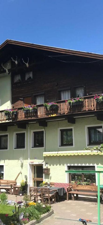 Pension Grunwald – billede 2