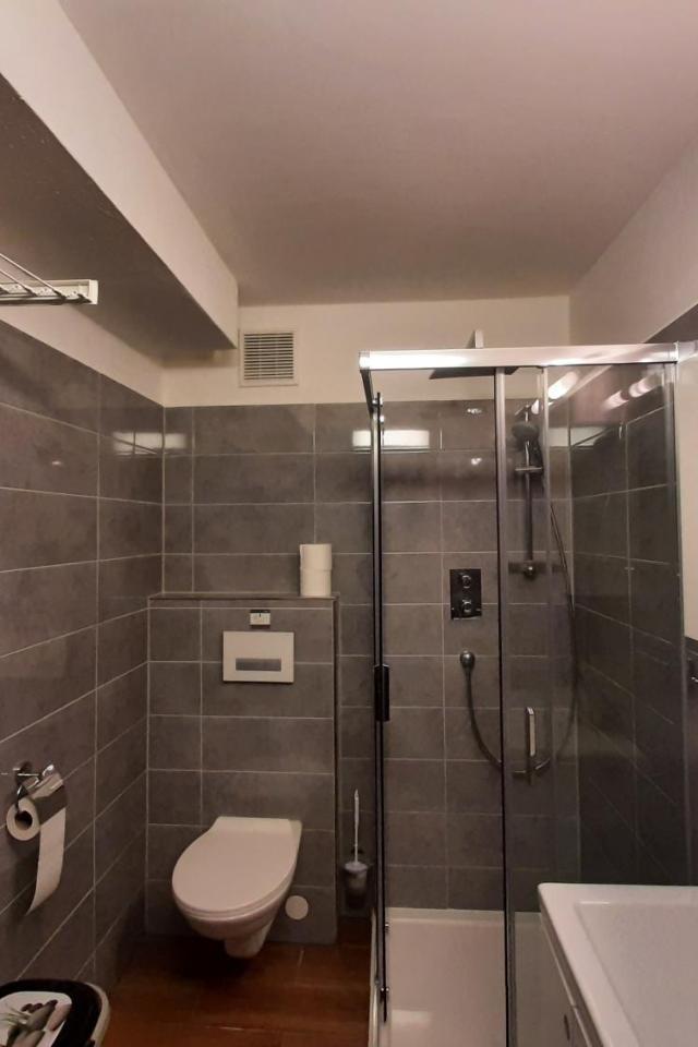 Susis Alpen Apartment – billede 5