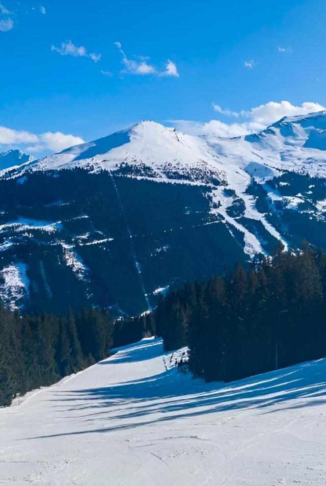 Susis Alpen Apartment – billede 8