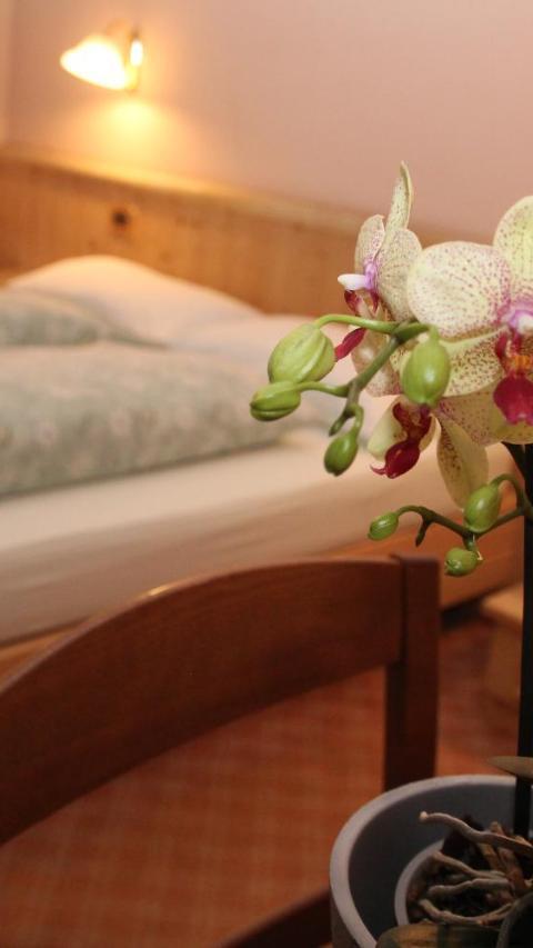 Hotel Caravasc – Livigno