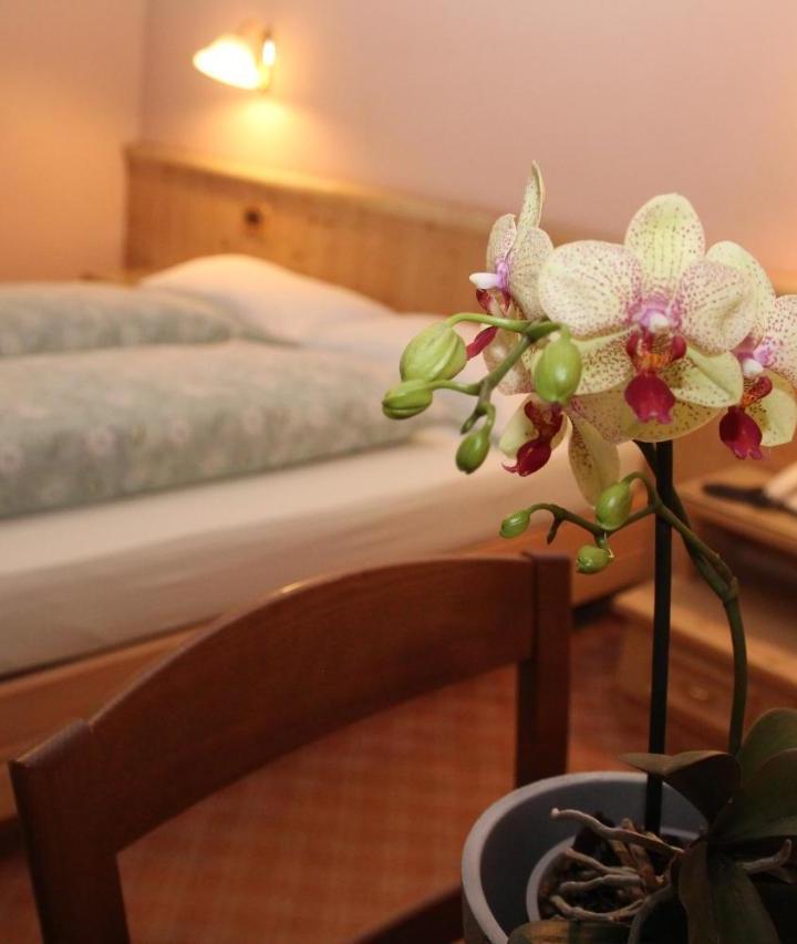 Double or Twin Room (1 large bed) - Free WiFi – Hotel Caravasc