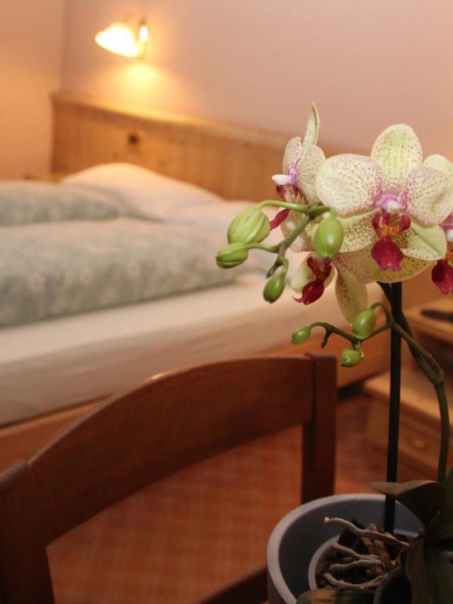 Hotel Caravasc