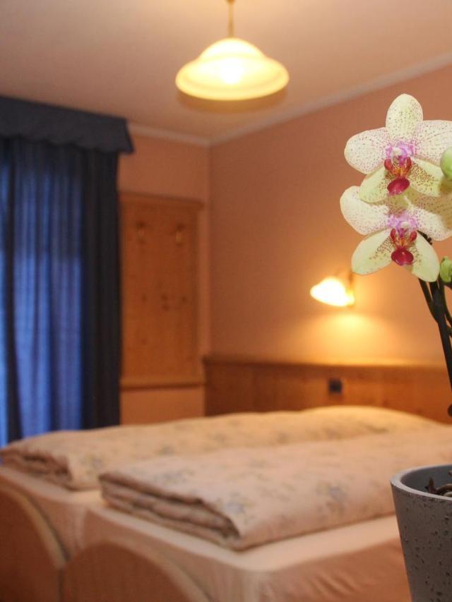 Hotel Caravasc – billede 2