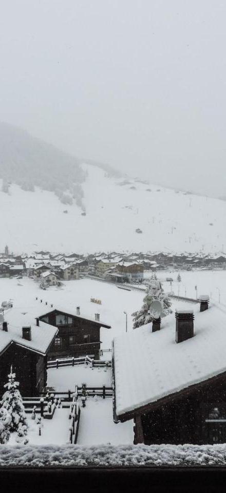 Silva: the Alpine Chalet – billede 4