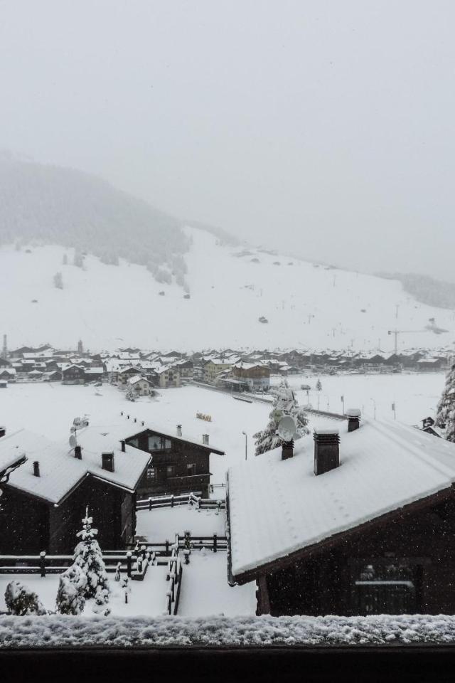 Silva: the Alpine Chalet – billede 4