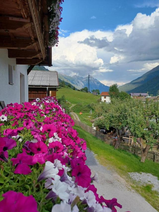 Gsorhof – billede 8
