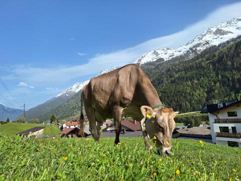 Gsorhof – St. Anton