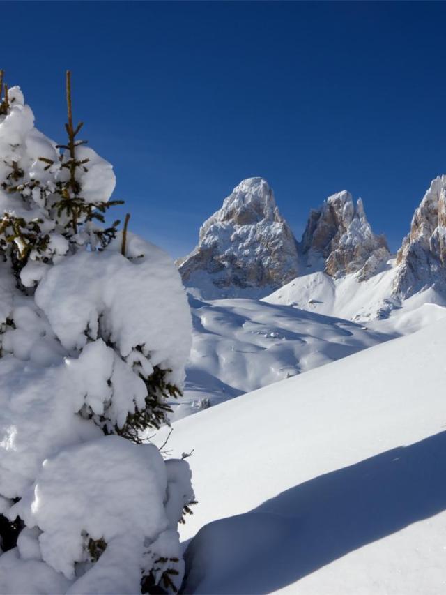 Hotel Al Viel B&B (Adults Only) – billede 9