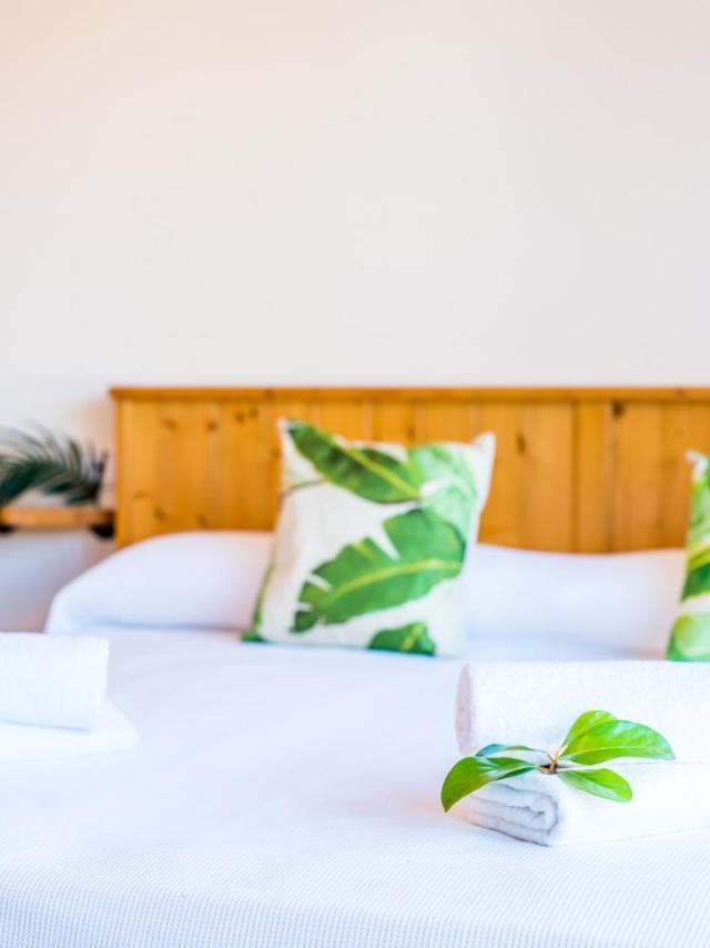 Ideal Property Mallorca - Aran Berna – billede 8