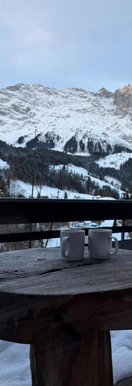 Chalet Engelberg Mountain View – billede 1