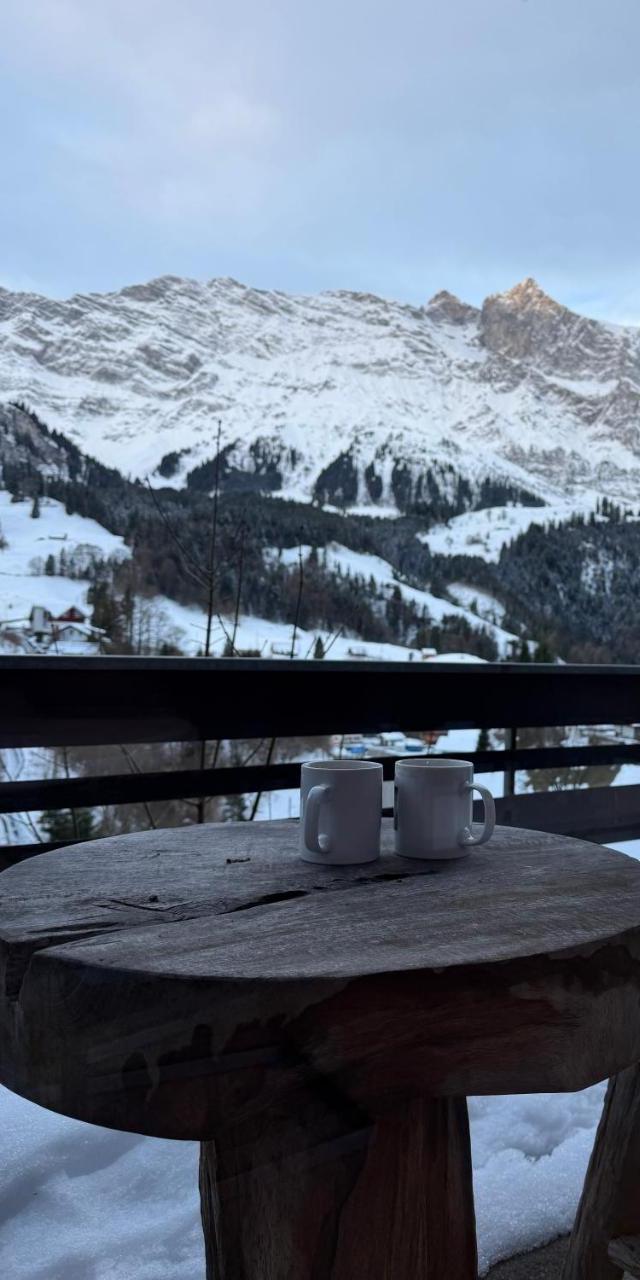 Chalet Engelberg Mountain View